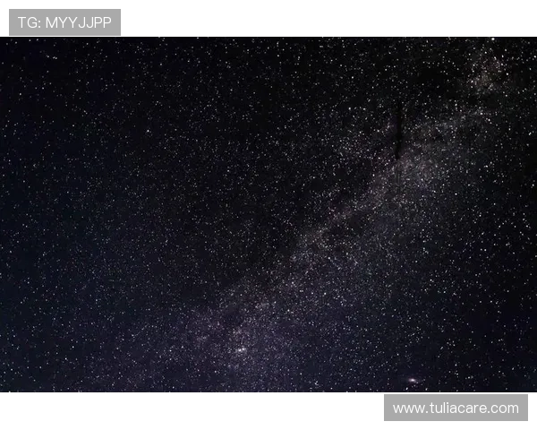 星空平台入口：用户必备的快速登录入口及使用技巧分享