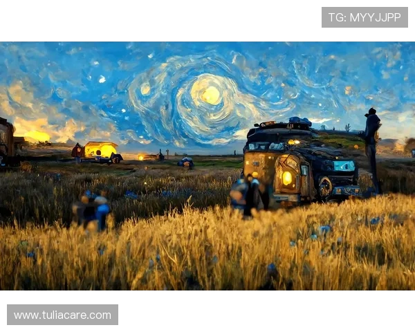 星空官网入口：连接梦想与现实的桥梁，开启精彩旅程