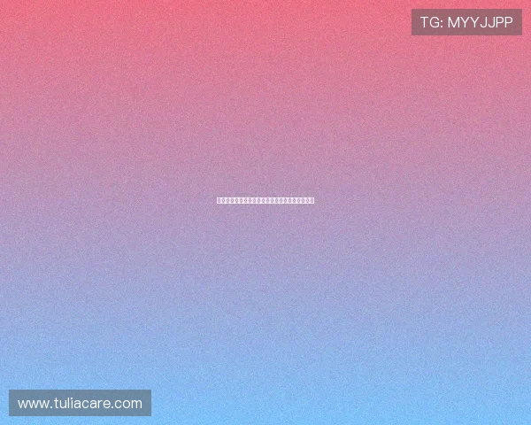 星空足球官方网站：全面解析最新足球赛事和动态