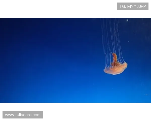 星空体育登录后如何管理个人信息和账户设置指南