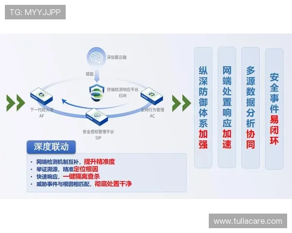 星空娱乐app下载官网官方平台安全下载，保障您的账号信息安全