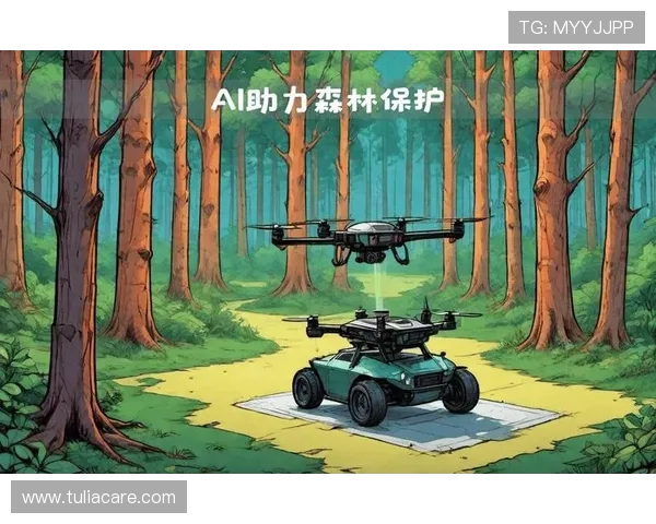 光速体育与人工智能的结合：打造全新智能化运动生态系统