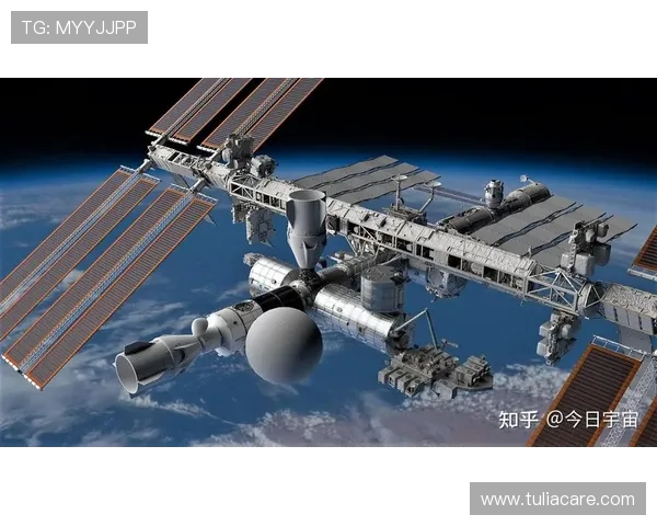 星空体育直营：全面解析企业发展战略与市场布局