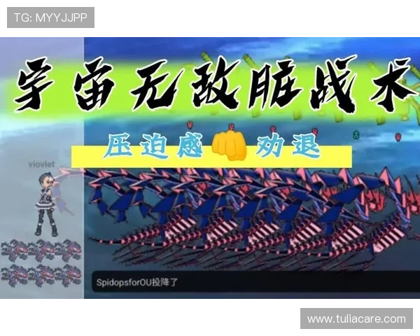 星空正规网址入口大全，用户必须了解的安全访问渠道战术