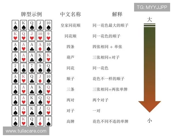 深入了解滚球全场独赢的规则细节与实用投注建议策略